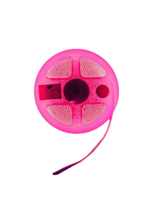 Tira Led Cob 5 Mts 12v Rosa