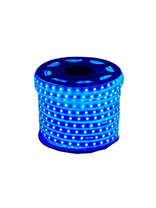 Manguera De Led 5050 C/25 Mts Azul