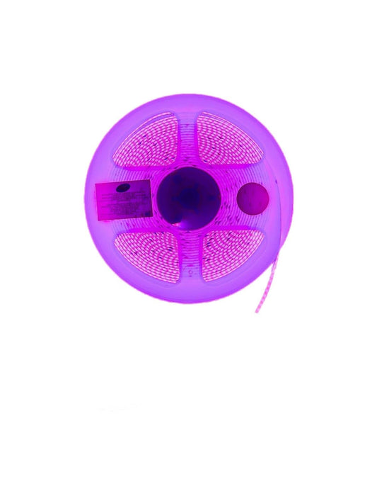 Tira Led Cob 5 Mts 12v Morado
