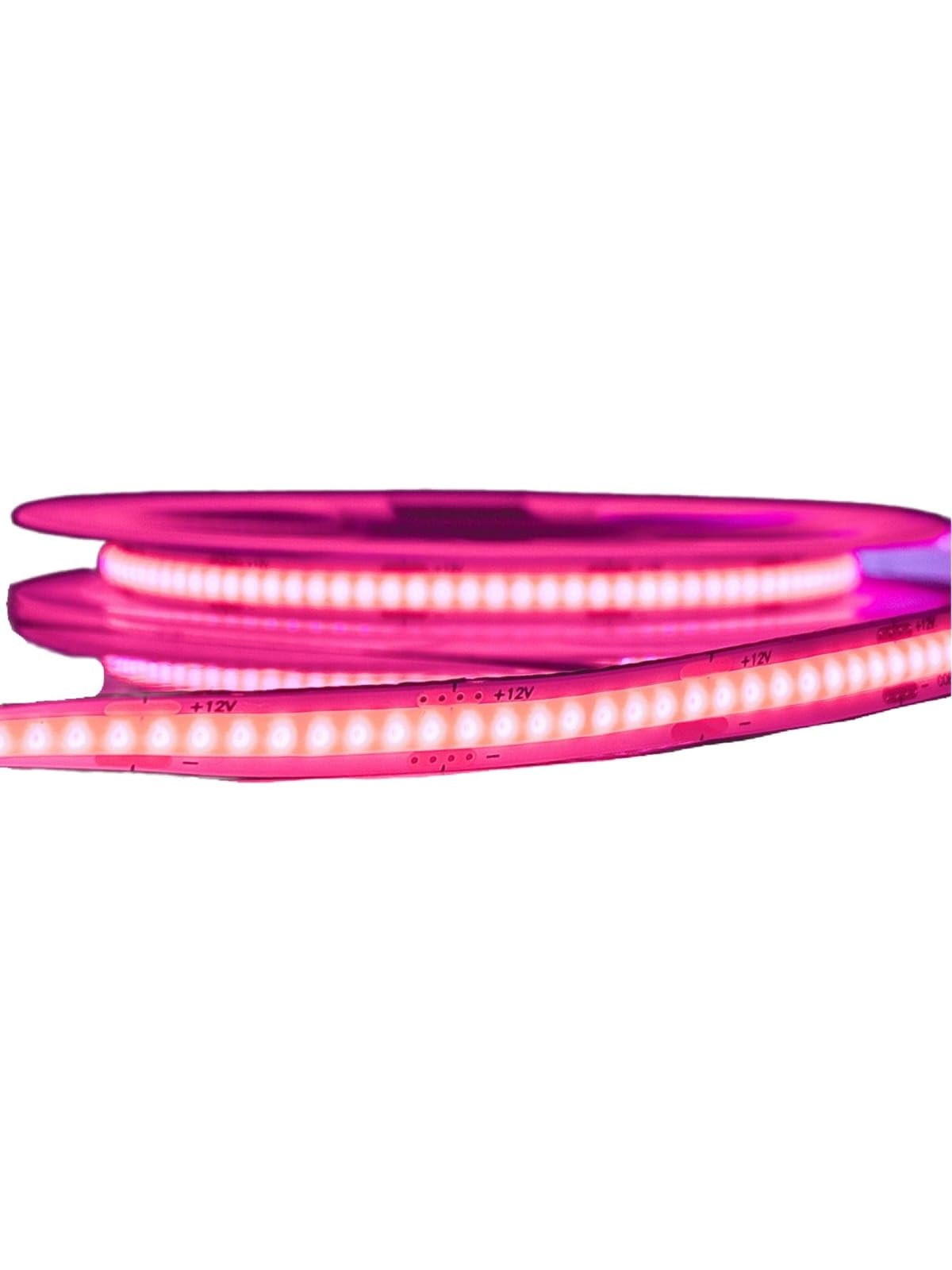 Tira Led Cob 5 Mts 12v Rosa